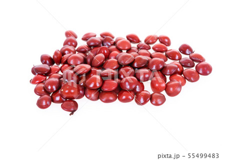 Red sandalwood seeds (Adenanthera pavonina) seeds 55499483