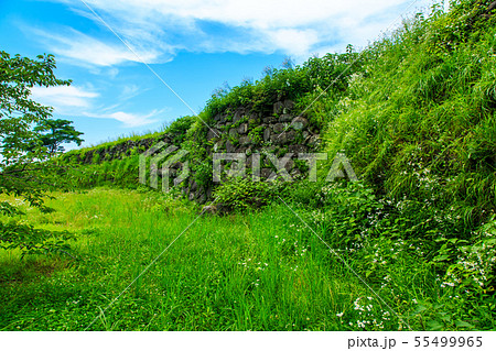 新緑の日野江城跡　【長崎県南島原市】 55499965
