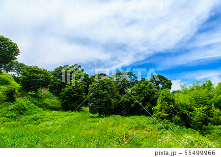 新緑の日野江城跡 【長崎県南島原市】 新緑の日野江城跡 【長崎県南島原市】 55499966