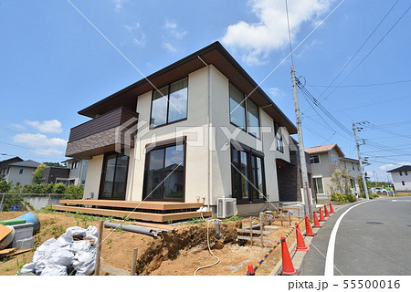 マイホーム 55500016