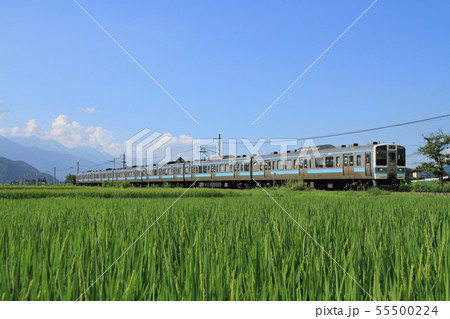 大糸線の夏 211系6両編成の写真素材 55500224 Pixta