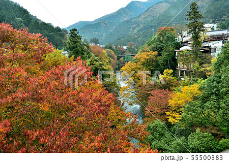 11月 秋の奥多摩 日原川と山並み  55500383