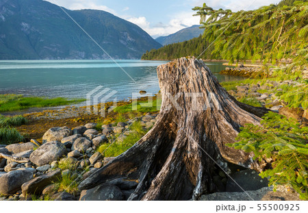 Bella Coola 55500925