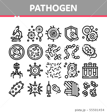 Collection Pathogen Elements Vector Sign Icons Set Collection Pathogen Elements Vector Sign Icons Set 55501454