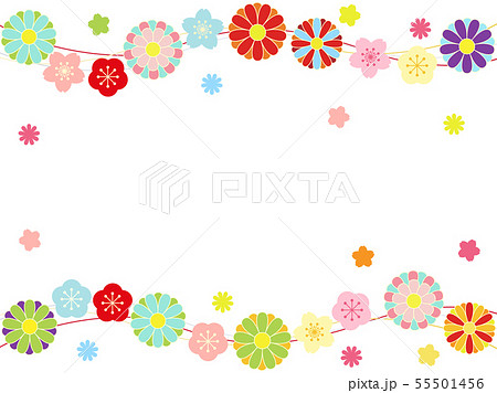 梅と桜と菊20 梅と桜と菊20 55501456