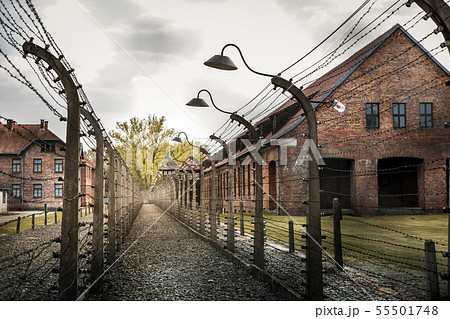 Barracks and fence, German prison Auschwitz II Barracks and fence, German prison Auschwitz II 55501748
