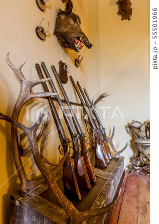 Hall of trophies, ancient armor storage, Europe Hall of trophies, ancient armor storage, Europe 55501966