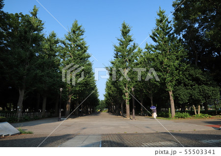 洞峰公園 つくば市 洞峰公園 つくば市 55503341