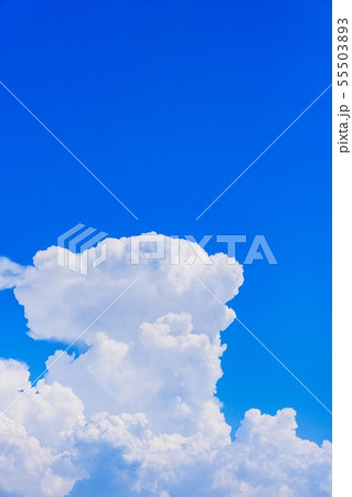 夏の清々しい青空 55503893