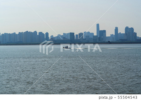 韓国 風景 高層ビル 55504543