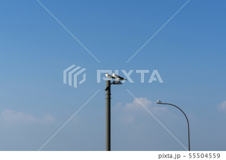 韓国 風景 海 55504559