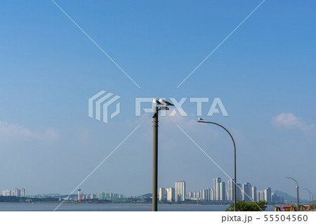 韓国 風景 海 55504560