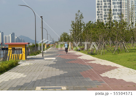 韓国 風景 海 55504571