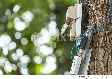 Dangerous electric cable and equipment set up on the tree 55504845