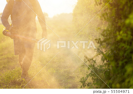 Farmer or gardener spraying chemical or fertilizer in garden at northern of Thailand Farmer or gardener spraying chemical or fertilizer in garden at northern of Thailand 55504971