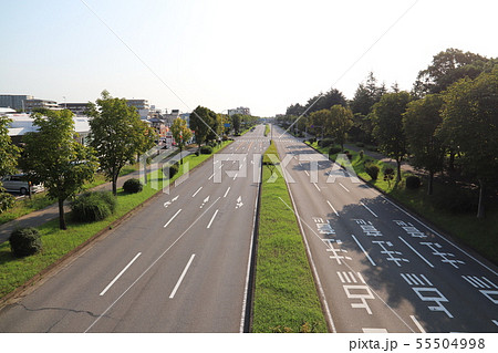 南大通り つくば市内 南大通り つくば市内 55504998