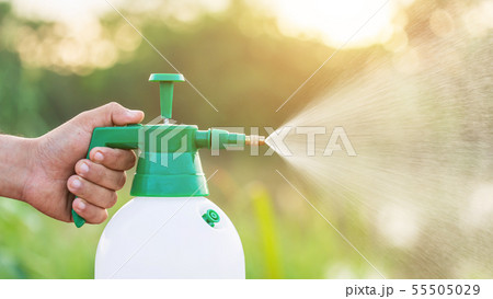 Hand holding watering can and sprayign to young plant in garden Hand holding watering can and sprayign to young plant in garden 55505029