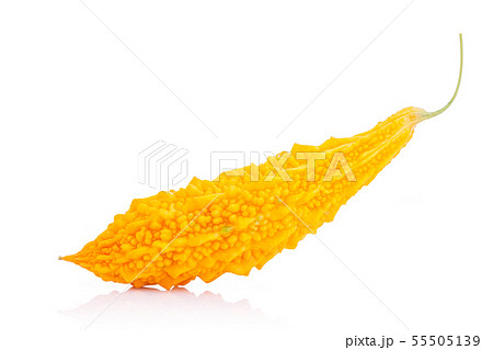 Ripe of yellow Bitter cucumber or Bitter gourd. Studio shot isolated on white 55505139
