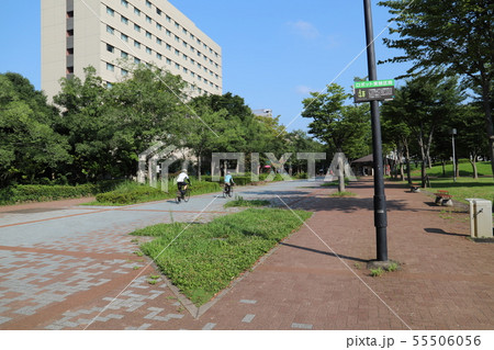 つくば公園通り つくば市 つくば公園通り つくば市 55506056