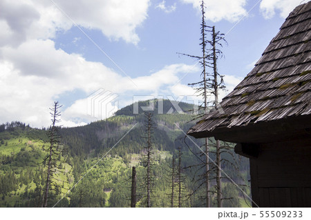 Wooden hut under Tatra mountains in Zakopane Wooden hut under Tatra mountains in Zakopane 55509233