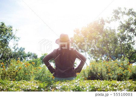 Woman in park with sunlight. 55510003