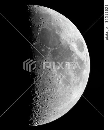 上弦の月 上弦の月 55511621