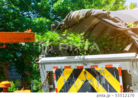 Chipper wood machine releasing the shredded woods 55512170