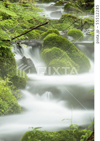 名水百選の尚仁沢湧水 55512285