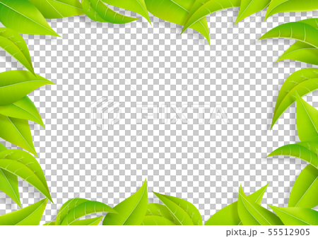 グリーン 葉っぱ リーフ フレーム 新緑 Png 透過のイラスト素材