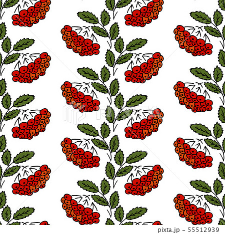 Seamless floral pattern. Pattern for fabric 55512939