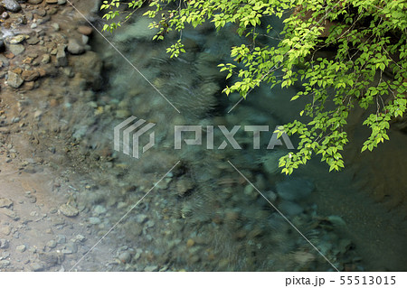 名水百選の尚仁沢湧水 名水百選の尚仁沢湧水 55513015