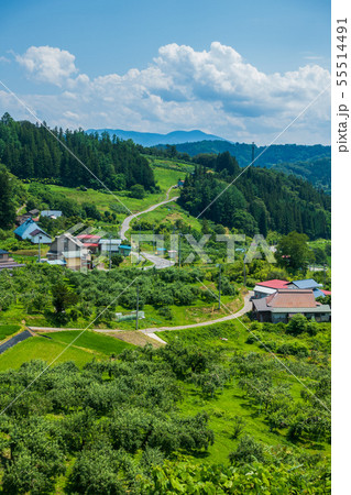 地方移住イメージ：山里風景：夏　　　　　　　上水内郡小川村 55514491