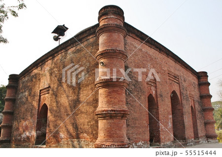 シンガイルモスジット 55515444