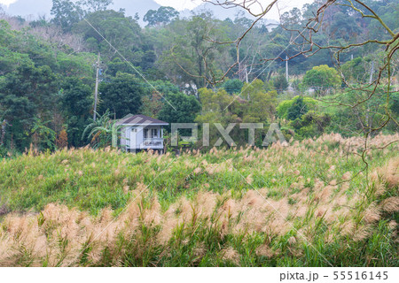 景色 風景 湖 55516145