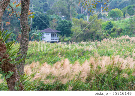 景色 風景 湖 55516149