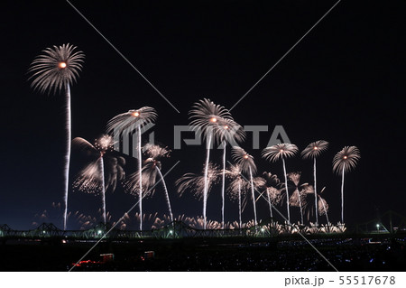 長岡花火大会フェニックス 長岡花火大会フェニックス 55517678