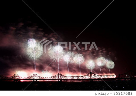 長岡花火大会フェニックス 長岡花火大会フェニックス 55517683