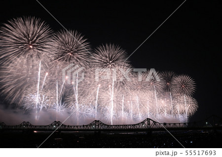 長岡花火大会フェニックス 長岡花火大会フェニックス 55517693