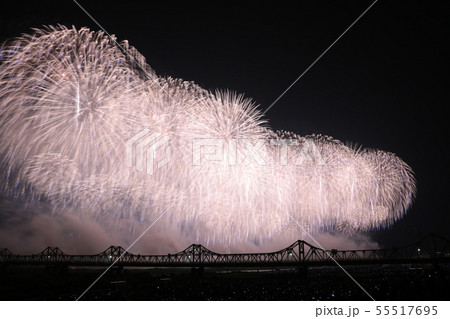 長岡花火大会フェニックス 55517695
