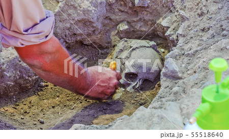 Archaeological excavation activity, skull revealed Archaeological excavation activity, skull revealed 55518640