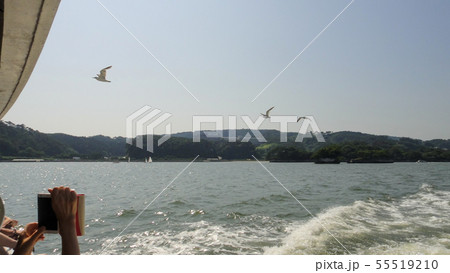 日本三景　松島　遊覧船　クルージング　観光 55519210