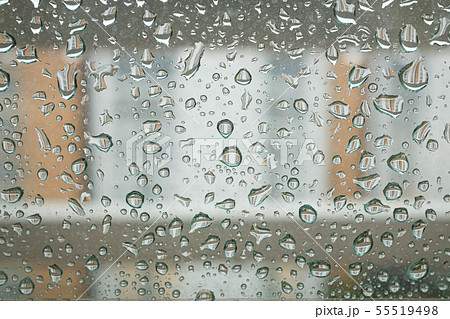 非 春雨 春 55519498