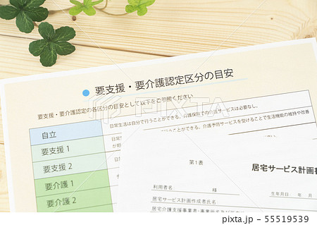 要支援・要介護認定区分 要介護認定イメージ 要支援・要介護認定区分 要介護認定イメージ 55519539