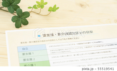要介護・要支援認定区分 55519541