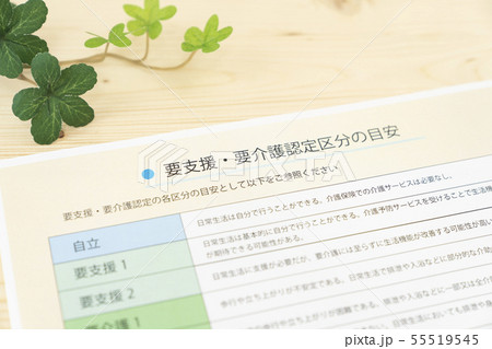 要介護・要支援認定区分 55519545