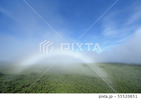 森に架かる白い虹（霧虹・フォグボー） 55520651