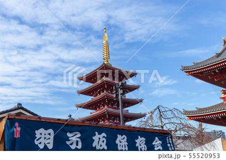 羽子板市の浅草寺 羽子板市の浅草寺 55520953