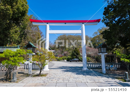 鎌倉宮 大鳥居 55521450