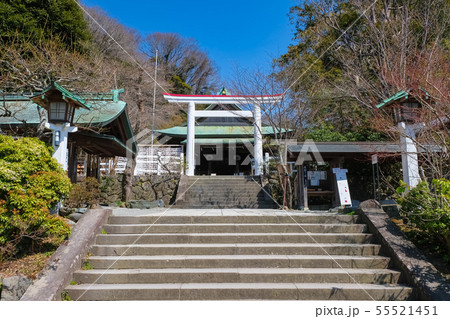 鎌倉宮 拝殿 鎌倉宮 拝殿 55521451