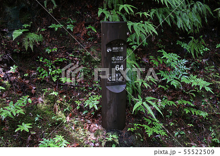 発心門王子　と　水呑王子　の間に立つ　６４番の位置を示す標識 55522509
